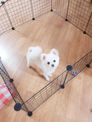 빨개이님이 올린 리뷰 사진 1