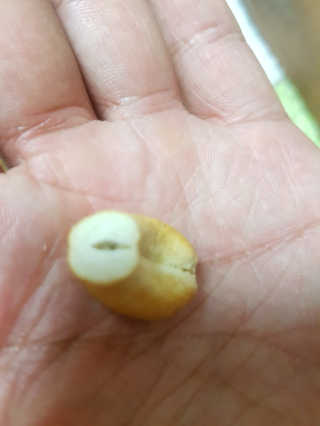 루루님이 올린 리뷰 사진 3