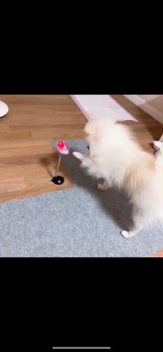윰쭈리님이 올린 리뷰 사진 3