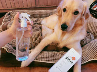 [펫토리아]살균뚝딱 강아지 고양이 살균소독제 탈취제 — 5점을 준 리뷰어가 2019년 10월 올린 사용 사진