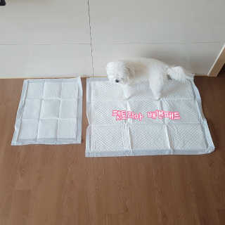 펫토리아 한장뚝딱 NEW 프리미엄 국내산 배변패드 — 5점을 준 리뷰어가 2019년 5월 올린 사용 사진