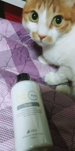 이솔화장품 이솔 세범 리스 포어 토너 200ml — 4.5점을 준 리뷰어가 2018년 8월 올린 사용 사진