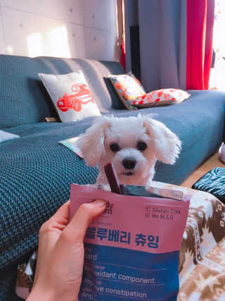 푸디웜 주식회사 [푸디웜] 강아지 저알러지 수제간식 3종세트 — 5점을 준 리뷰어가 2018년 12월 올린 사용 사진