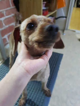 꾹꾹이님이 올린 리뷰 사진 4