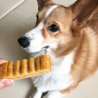 코기코기님이 올린 리뷰 사진 4