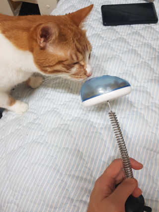 이용재님이 올린 리뷰 사진 2