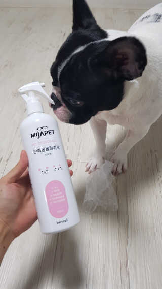 꺄룩꺄룩님이 올린 리뷰 사진 2