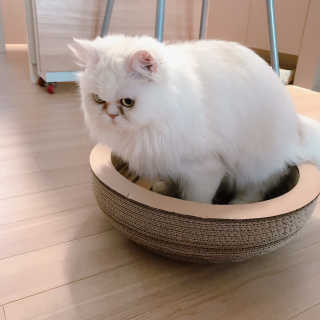 윤느님이 올린 리뷰 사진 3