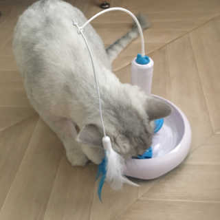 단발소녀님이 올린 리뷰 사진 3