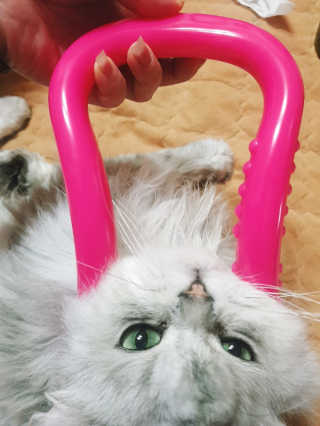 이영실님이 올린 리뷰 사진 2