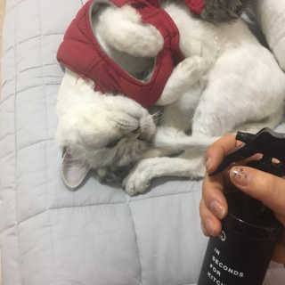 PEACE MOMENT 피스모먼트 인세컨즈포키친 320mL 천연살균소독제 — 5점을 준 리뷰어가 2019년 2월 올린 사용 사진
