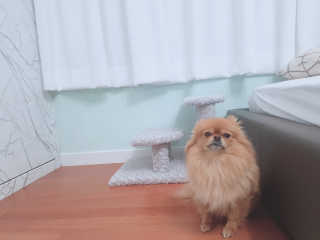 YulaKim님이 올린 리뷰 사진 1