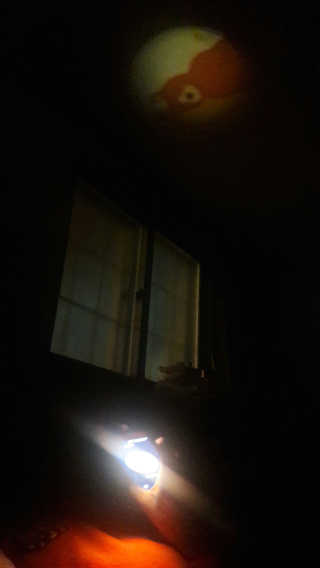 유영경님이 올린 리뷰 사진 1