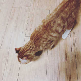 니나노나님이 올린 리뷰 사진 3