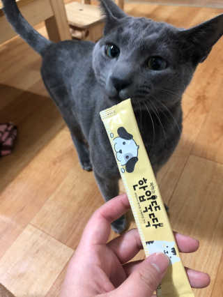 [펫토리아] 강아지,고양이겸용 짜먹는 한입뚝딱 — 5점을 준 리뷰어가 2019년 1월 올린 사용 사진