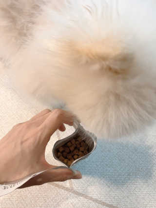 리디아은서님이 올린 리뷰 사진 2