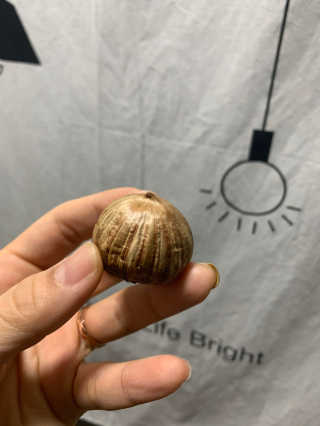 KellyChoi님이 올린 리뷰 사진 1