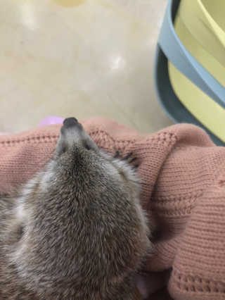 cocoa님이 올린 리뷰 사진 3