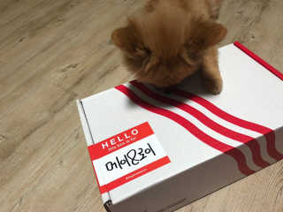 aevely님이 올린 리뷰 사진 2
