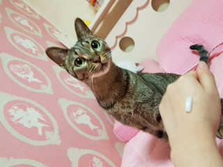 Shary님이 올린 리뷰 사진 2