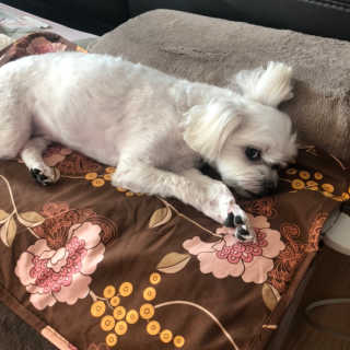 댕민님이 올린 리뷰 사진 4