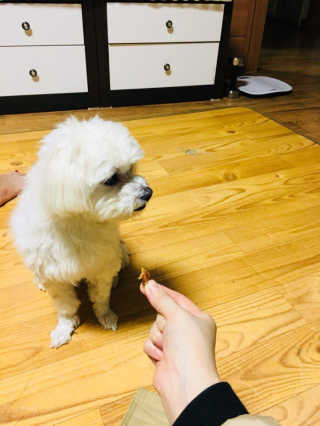 김봄희님이 올린 리뷰 사진 3