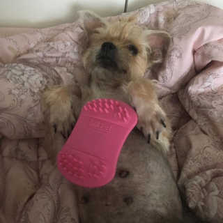 아라아빠님이 올린 리뷰 사진 2