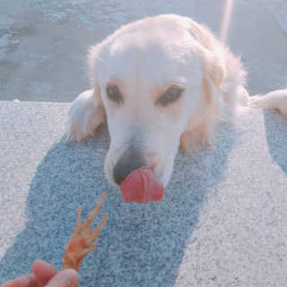 Isabelle Lee님이 올린 리뷰 사진 3