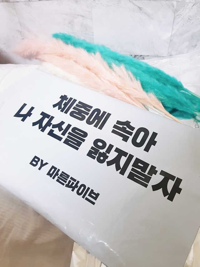 마른파이브 꿀잠 노와이어 모달브라 리뷰 사진