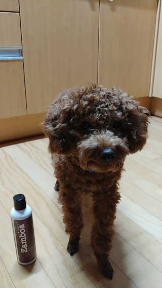 너구리양님이 올린 리뷰 사진 3