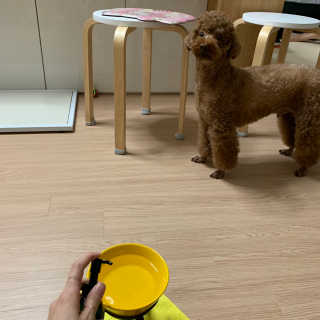 투밍님이 올린 리뷰 사진 4