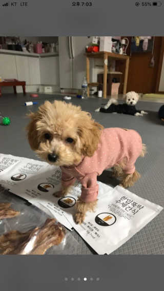 서주나님이 올린 리뷰 사진 4