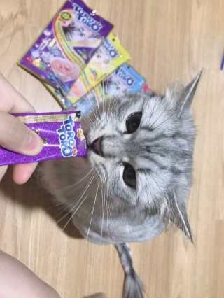 배융빵님이 올린 리뷰 사진 3