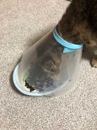 민졍님이 올린 리뷰 사진 2