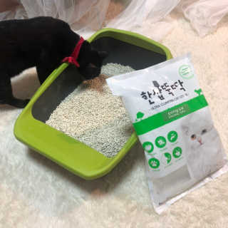 [펫토리아] BEST 고양이두부모래 6L 한삽뚝딱 — 4점을 준 리뷰어가 2019년 1월 올린 사용 사진