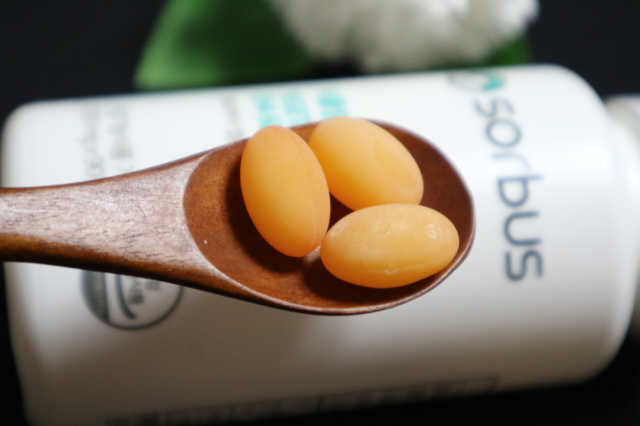 소버스 식물성 오메가3 DHA 600 리뷰 사진