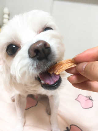 짓우님이 올린 리뷰 사진 2