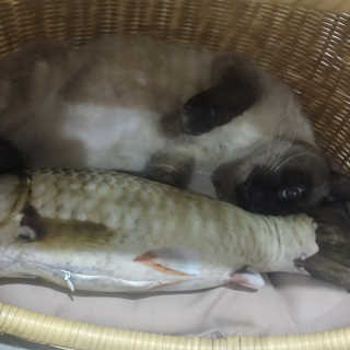 annie님이 올린 리뷰 사진 3