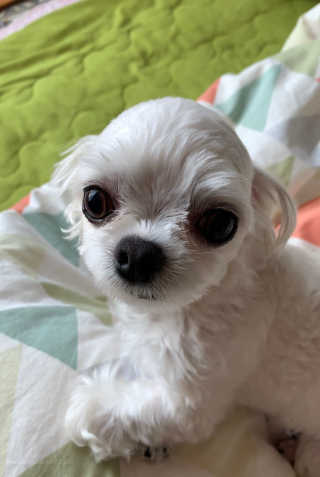 리나마미님이 올린 리뷰 사진 3