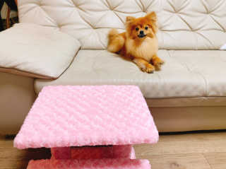 이대현님이 올린 리뷰 사진 1