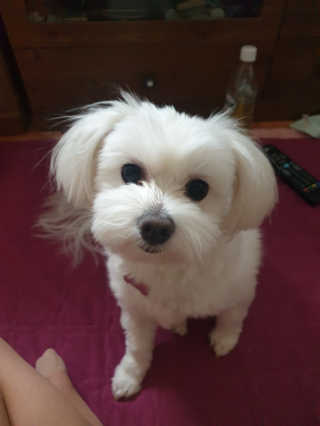뉼뉼뉼님이 올린 리뷰 사진 3