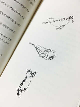 윤또님이 올린 리뷰 사진 4