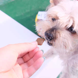 수수양님이 올린 리뷰 사진 4