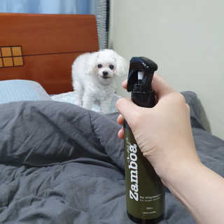 몽이언니님이 올린 리뷰 사진 2