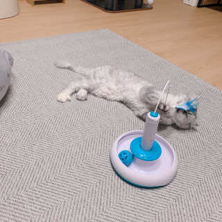 bee님이 올린 리뷰 사진 2