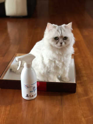 쏘니맘님이 올린 리뷰 사진 2