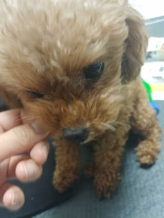 땡그리땡자님이 올린 리뷰 사진 3
