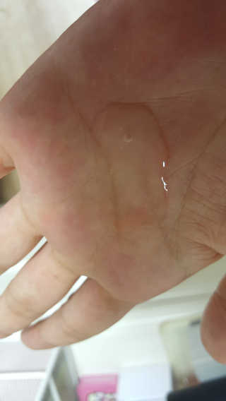 성아람님이 올린 리뷰 사진 2