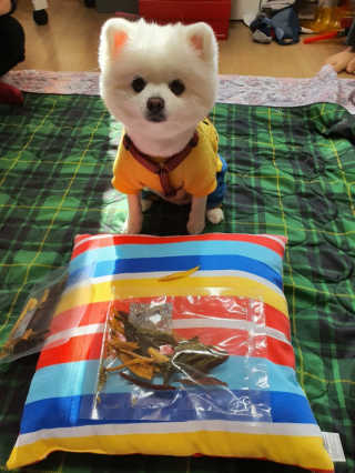 겸둥이연우맘님이 올린 리뷰 사진 4