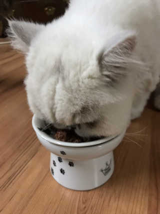 이써늬님이 올린 리뷰 사진 2